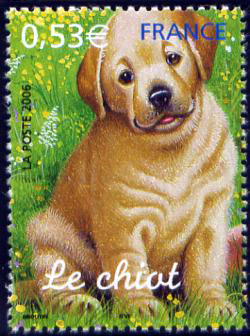 timbre N° 3898, Jeunes animaux domestiques