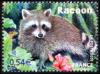  Le Racoon de La Guadeloupe 