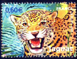 timbre N° 4035, Le Jaguar de Guyane