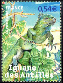 timbre N° 4033, Iguane des Antilles