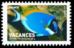 timbre N° 4038, Carnet vacances - Poisson chirurgien