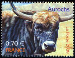  Animaux disparus ou menacés <br>L'aurochs