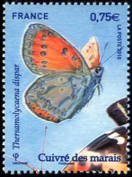 timbre N° 4500, Papillons : Cuivré des marais