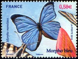 timbre N° 4498, Papillons : Morpho bleu
