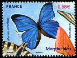 timbre N° 4497, Papillons : Morpho bleu