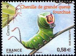 timbre N° 4499, Papillons : chenille de grande queue fourchue