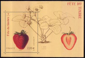 timbre N° F4535, Fête du timbre, Fraise rubis Jardin fruitier du Museum