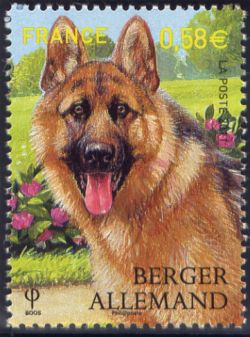 timbre N° 4546, Les chiens - Berger allemand