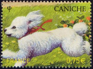 timbre N° 4547, Les chiens - Caniche