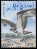  Balbuzard pêcheur - Ligue de Protection des Oiseaux - LPO 1912-2012 