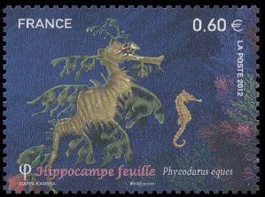 timbre N° 4647, Faune marine, Hippocampe feuille - Phycodurus Eques