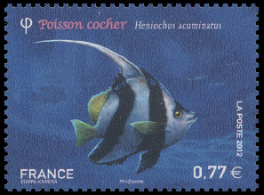 timbre N° 4648, Faune marine, Poisson cocher - Heniochus Acuminatus