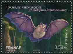  Les chauves-souris <br>Le grand rhinolophe