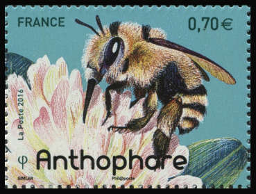 timbre N° 5054, Les abeilles solitaires
