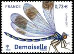  Les insectes 