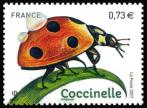  Les insectes 