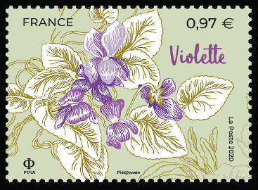  Fleurs de Grasse et de Méditerranée <br>La violette