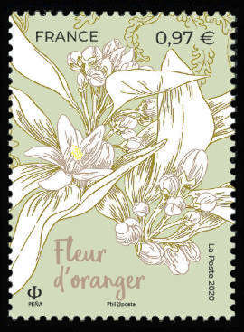  Fleurs de Grasse et de Méditerranée <br>Fleur d'oranger