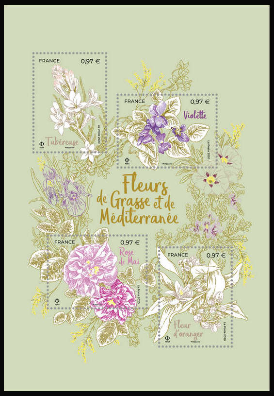  Fleurs de Grasse et de Méditerranée 