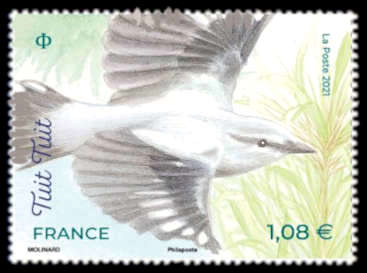  Oiseaux des îles <br>Le Tuit tuit de la Réunion