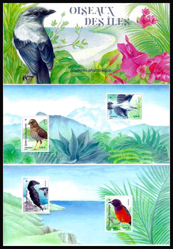  Oiseaux des îles 