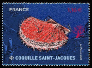  Coquillages et crustacés <br>Coquille Saint-Jacques