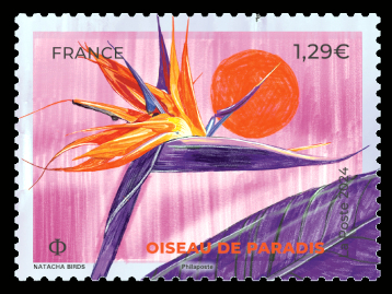  Fleurs tropicales <br>Oiseau de paradis