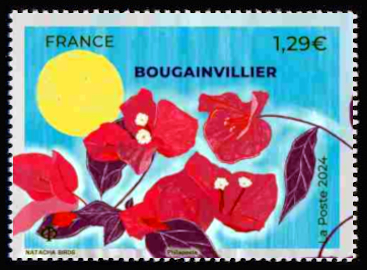  Fleurs tropicales <br>Bougainvillier