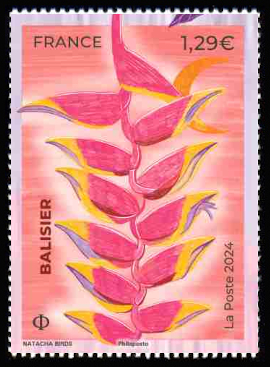 Fleurs tropicales <br>Balisier