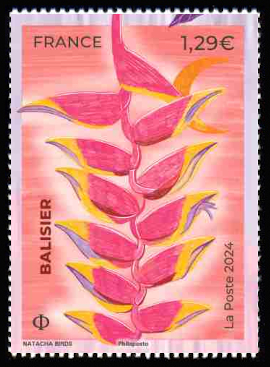  Fleurs tropicales <br>Balisier