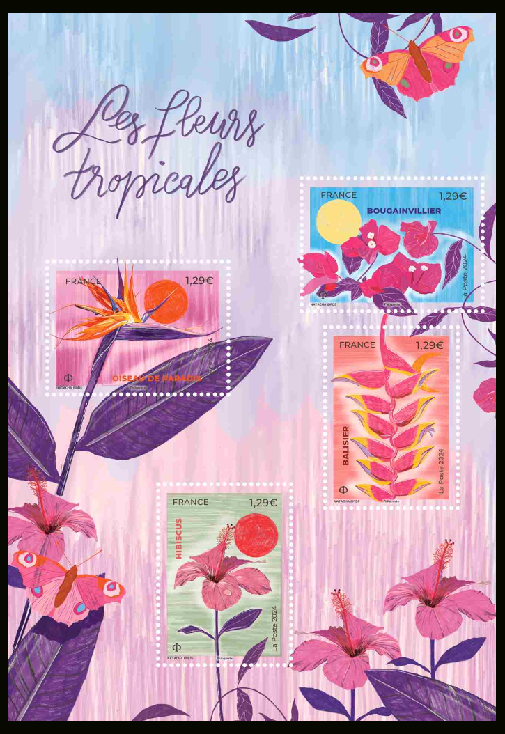  Fleurs tropicales <br>Oiseau de paradis - Bougainvillier - Hibiscus - Balisier