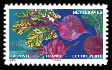  Jardin d'automne <br>Betteraves