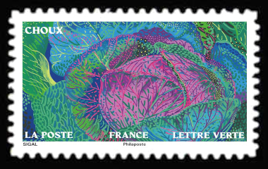  Jardin d'automne <br>Choux