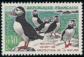  Macareux moine <br>Les sept iles - Protection de la nature