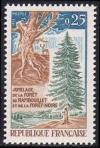 timbre N° 1561, Jumelage de la forêt de Rambouillet et de la forêt Noire