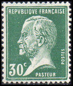  Type Pasteur 