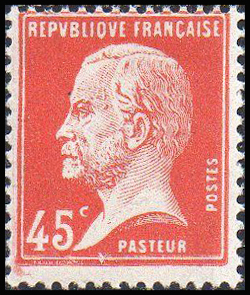  Type Pasteur 