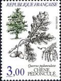timbre N° 2386, Chêne pédonculé (Quercus pedunculata)