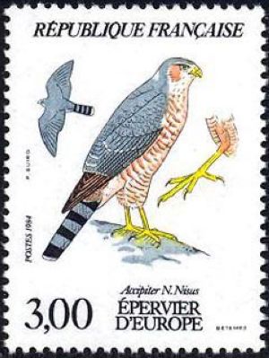 Epervier