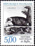  Histoire naturelle de Buffon - Le blaireau 