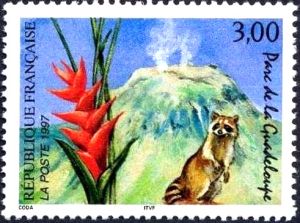  Parc de la Guadeloupe, volcan de la Soufrière, fleur de balisier et racoon (raton laveur) 