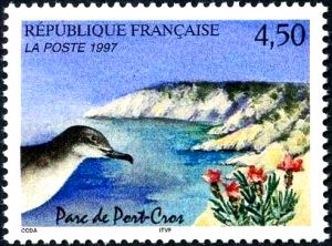  Parc de Port-Cros (tête de puffin et lavande maritime) 