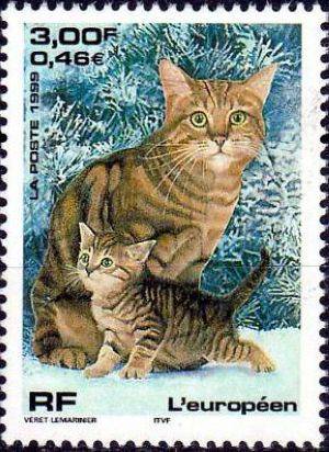 timbre N° 3284, Série Nature de France Chats - L'européen