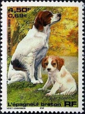 timbre N° 3286, Série Nature de France Chiens - L´Epagneul breton