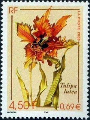 timbre N° 3335, Faune et Flore de France -  Tulipa lutea