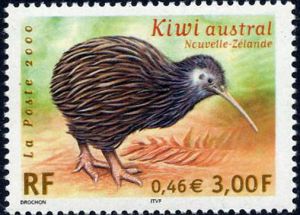 timbre N° 3360, Faune en voie de disparition,  Kiwi austral (Apteryx australis)