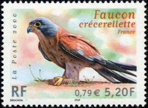 timbre N° 3361, Faune en voie de disparition, Faucon crécerellette