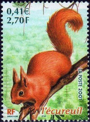 timbre N° 3381, Faune de France, L'écureuil