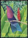  Oiseaux d´Outremer, le Colibri grenat 