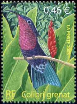 timbre N° 3550, Oiseaux d´Outremer, le Colibri grenat